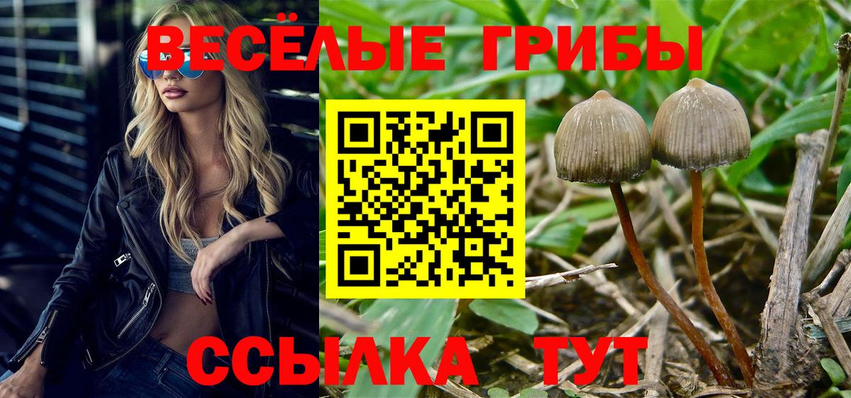Галлюциногенные грибы GOLDEN TEACHER Менделеевск