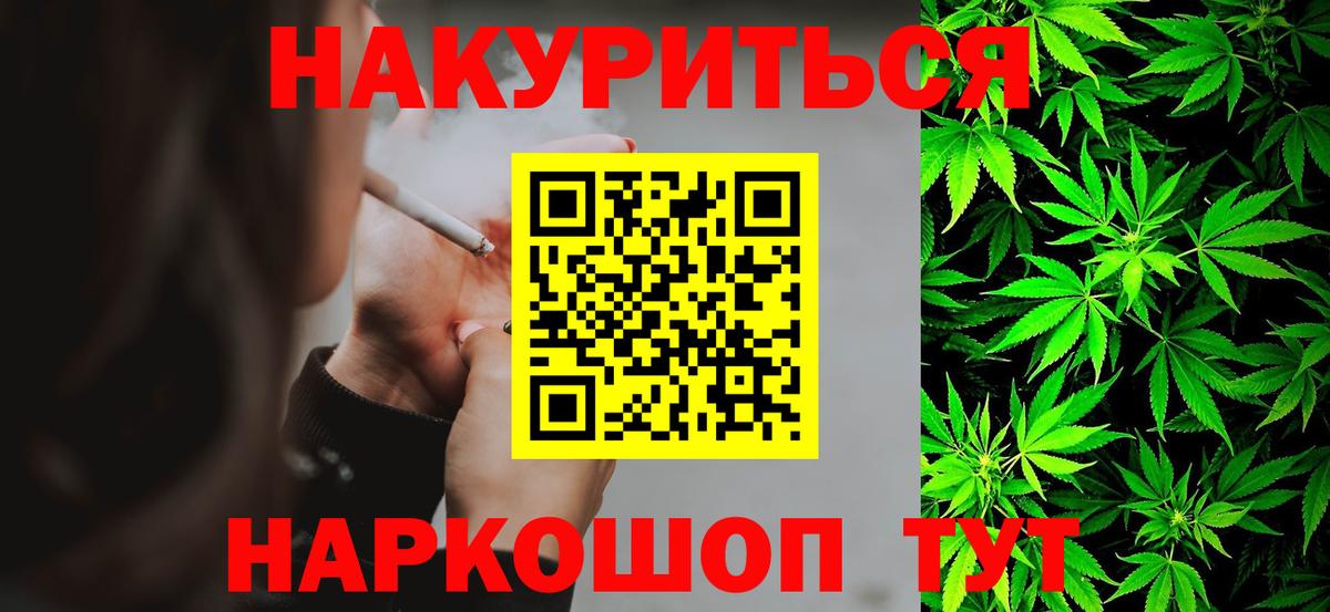 Конопля сатива Менделеевск